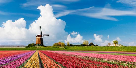 Ubezpieczenie podróżne Holandia