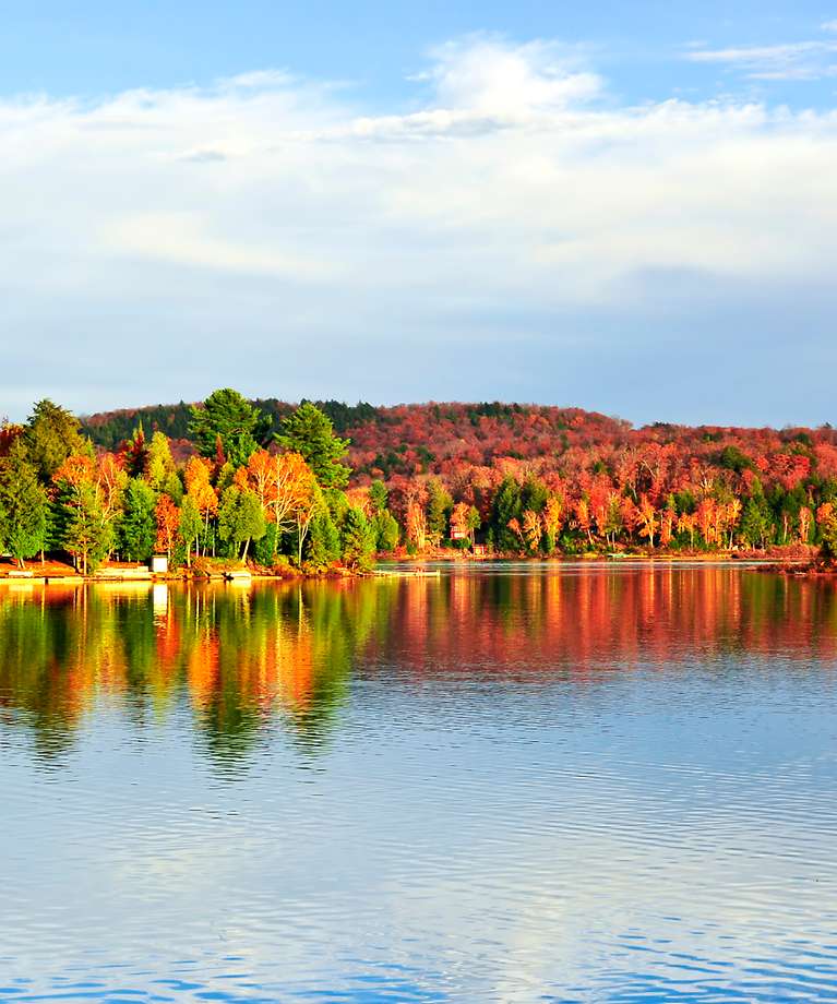 Można zobaczyć kolorowy las położony nad jeziorem, który zawiera wiele różnych kolorów.